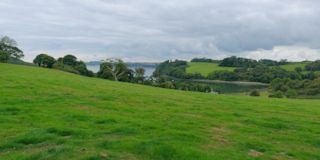 Trelissick Garden